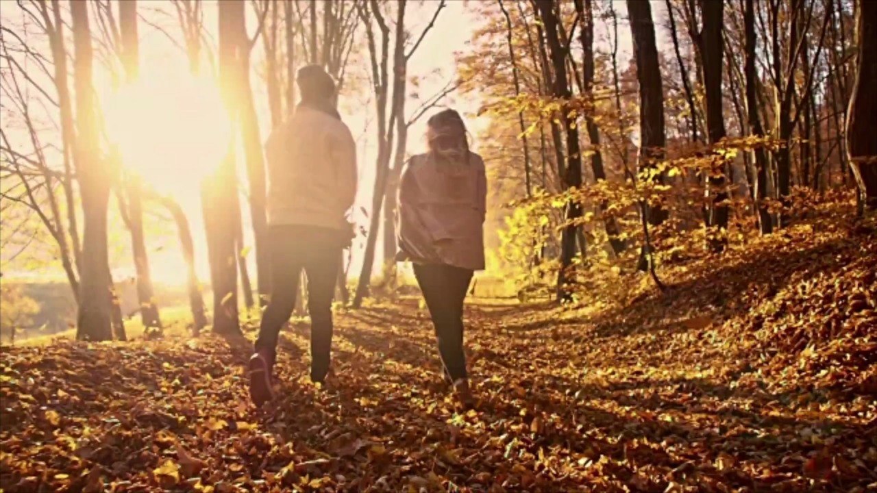 Waltz Into Autumn With Hallmark's "Fall Harvest" Movie Lineup