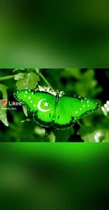 14 August Poetry | Happy Independence Day Pakistan  | WhatsApp status 14 August 2021