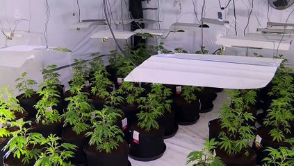 Police Interceptors S19E08