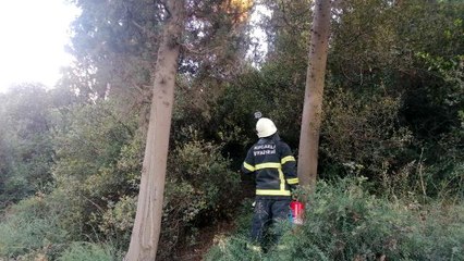 Son dakika haberleri | Ormanlık alanda yeniden çıkan yangını muhtar söndürdü