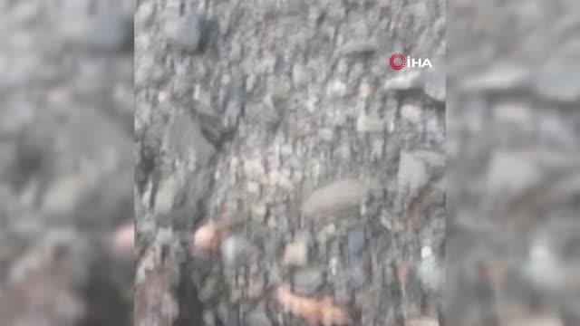 Şavşat'ta trafoya yıldırımın düştüğü anlar cep telefonu kamerasında: 37 köyün elektiriği kesildi