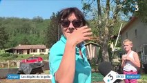 Intempéries : l'Auvergne touchée par de violents orages