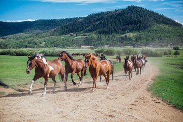America's Best Dude Ranches