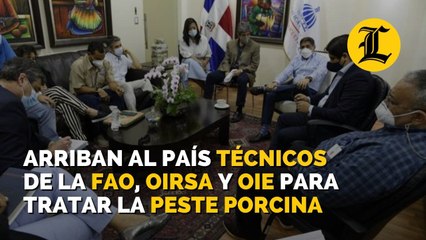 Arriban al país técnicos de la FAO, Oirsa y OIE para tratar la peste porcina