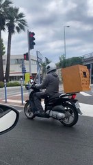 Doggy Rides in Scooter Safety Box