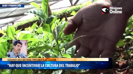 Hay que incentivar la cultura del trabajo