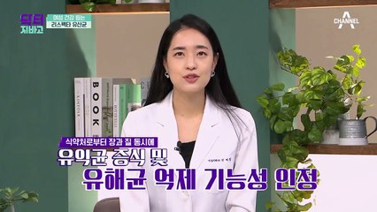 유산균이 질까지 생존할 수 있나요?! 놀라운 질 유산균의 효과!