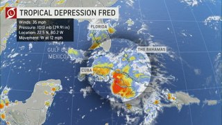 What does the future hold for Tropical Depression Fred?