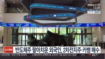 반도체주 팔아치운 외국인, 2차전지주·카뱅 매수