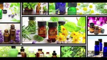 Know All About AOS Products -Essential Oil Manufacturer