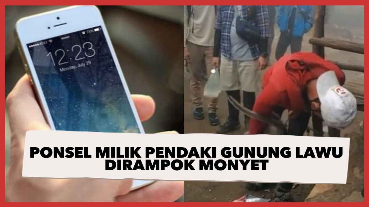 Kisah Pendaki Gunung Lawu yang Ponselnya Dirampok Monyet