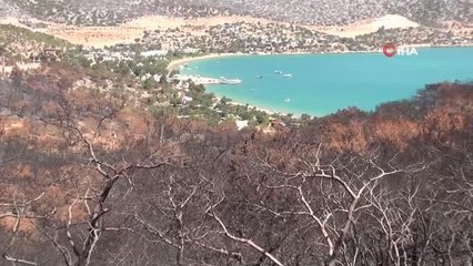 Silifke'de çıkan yangında zarar gören Boğsak mevkiinde çevre temizliği yapıldı