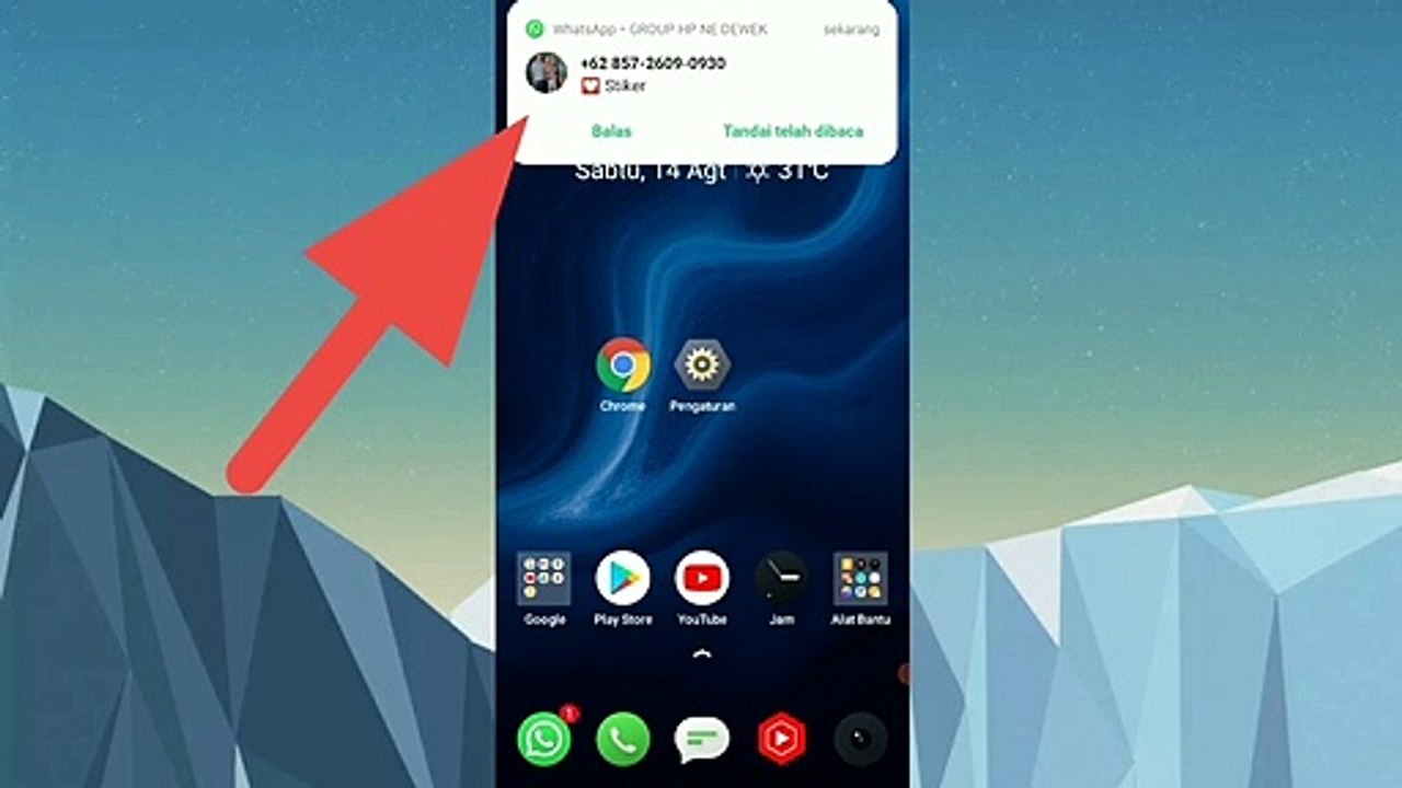 Cara mudah menonaktifkan notifikasi WhatsApp di hp