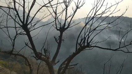 Argelia logra extinguir 76 de los casi cien incendios en 24 horas