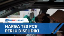 Dianggap Lebih Mahal dari India, Komisi IX DPR Sebut Harga Tes PCR di Indonesia Perlu Diselidiki