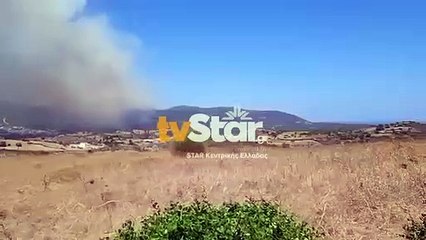 Φωτιά στα Μεσοχώρια Ευβοιας
