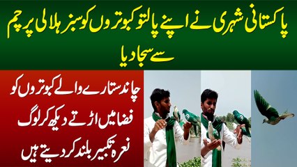 Download Video: Shehri Ne Aapne Kabootaro Ko Pakistani Flag Se Saja Dia - Dekhiye Chand Sitaray Wale Kabootar