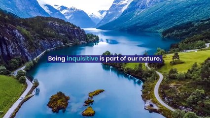 6_Frequently_Asked_Questions_about_Motor