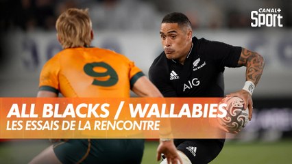 Le résumé de All Blacks / Wallabies -  Bledisloe Cup - Rugby Championship