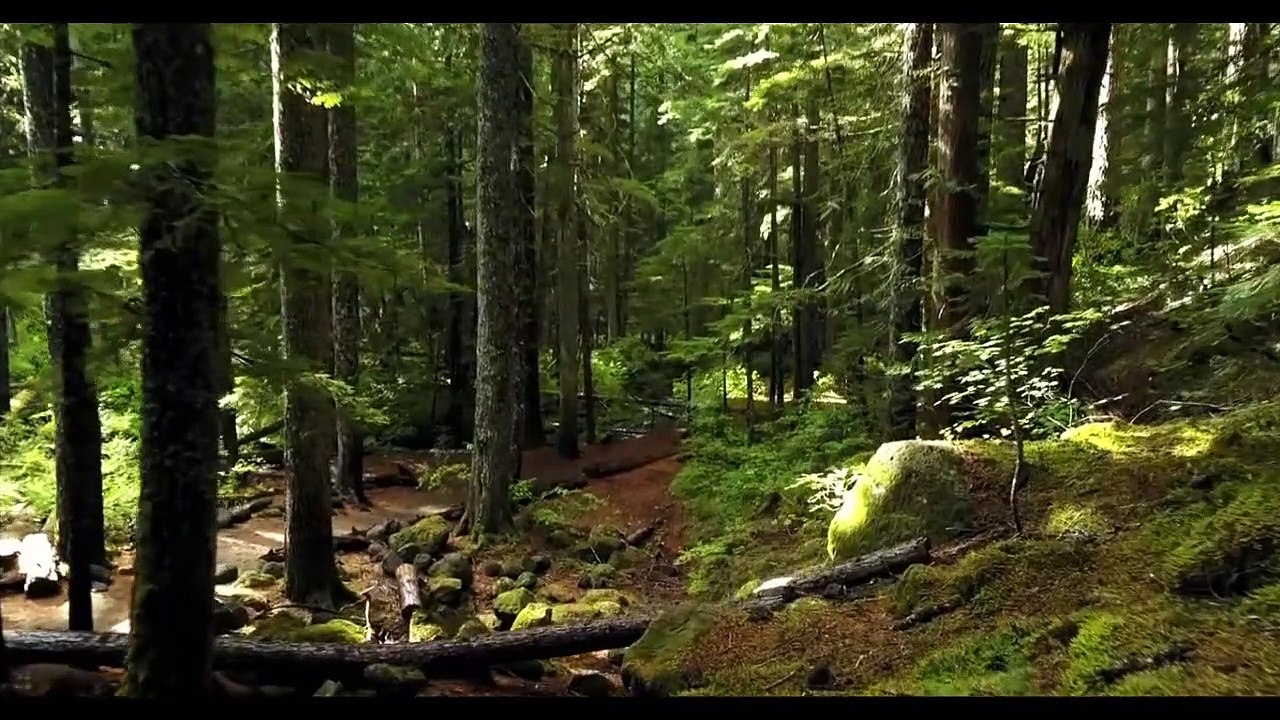 relaxation music for stress relief and healing  _ Calming Music _ Meditation, Relaxation Sleep Spa