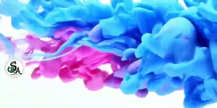 INDEPENDENTS SPECIAL YE HINDUSTAN HAMARA HAI #NAAT