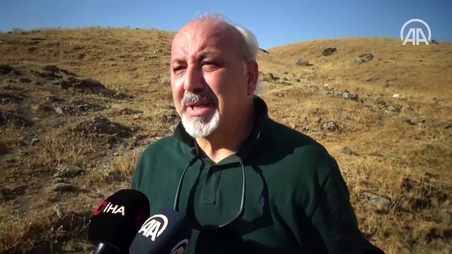 Muş'ta 35 milyon yıllık olduğu düşünülen deniz canlısı fosilleri bulundu