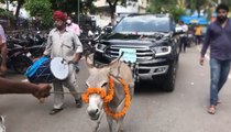 Jaipur : गधे ने क्यों खींची लग्जरी गाड़ी? अब सबके सामने Ford Car को आग लगाने का प्लान, देखें VIDEO