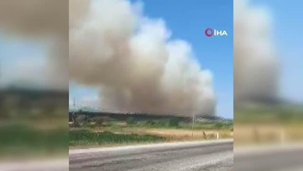 Orman yangınında dumanlar gökyüzünü kapladı