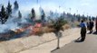 Bandırma'da yol kenarında yangın