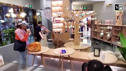 Alpaca & Cats: animal cafe in Shenzhen, China