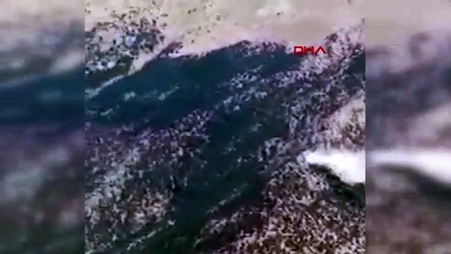 Turchia: precipita aereo antincendio. Nessun sopravvissuto