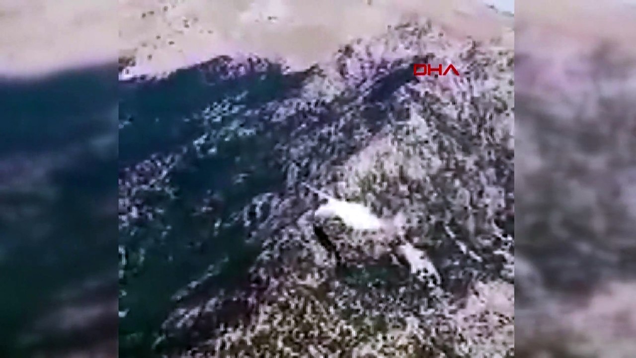 Российский самолёт-амфибия разбился в Турции при тушении пожаров