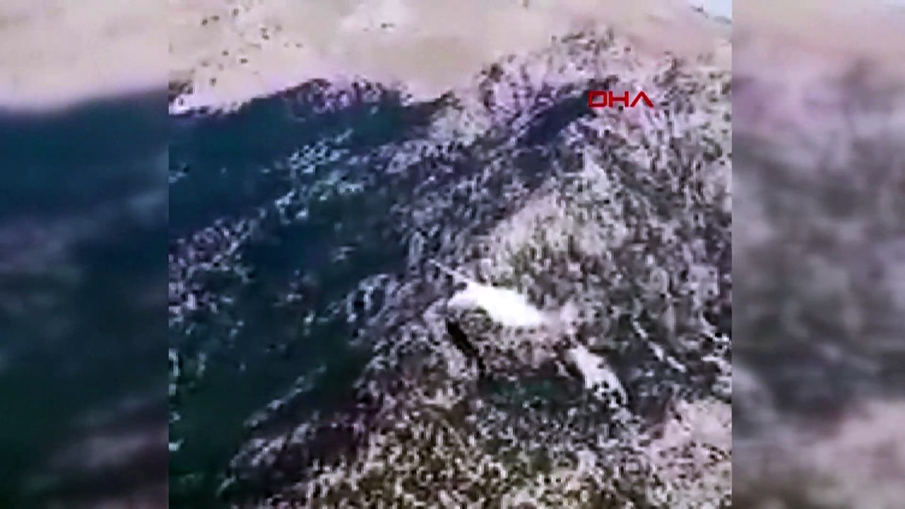 8 Tote bei Absturz eines russischen Löschflugzeugs in der Türkei