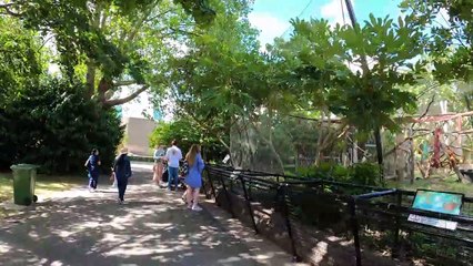 LONDON ZOO Walking Tour England (4K)