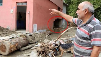 Sel mağduru vatandaşlar yıkımın büyük olmasının nedenini anlattı: Tomruklar füze gibi evleri deldi