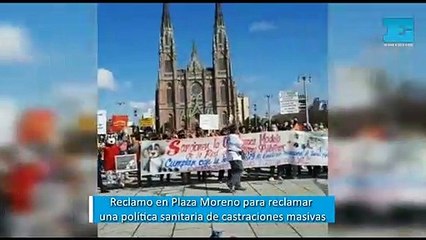 Colorida manifestación en Plaza Moreno en reclamo de castración masiva de animales