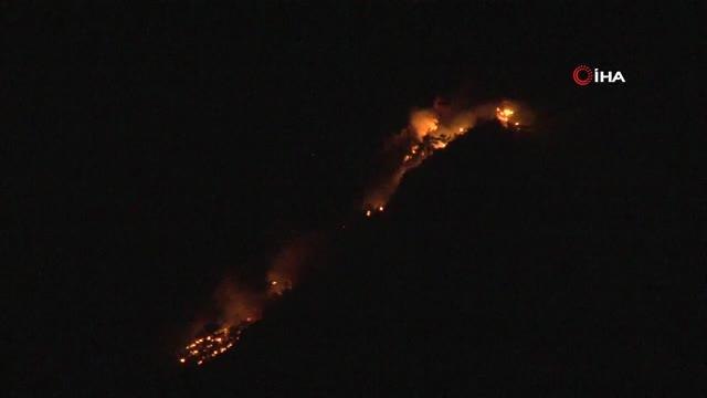 Yangın söndürme uçağının düştüğü ormanlık alanda alevler yeniden yükseldi