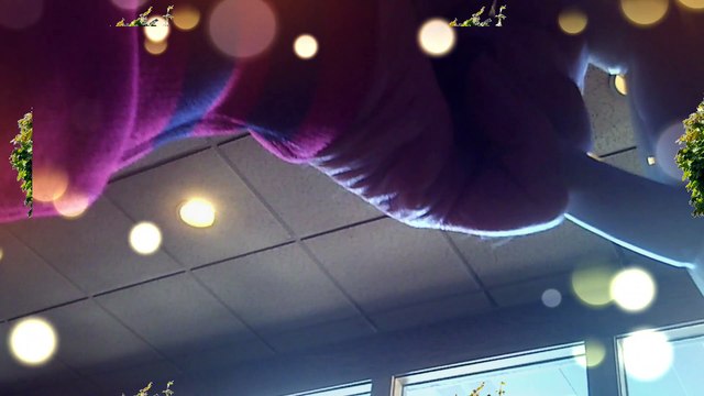 Eating Driving and shopping l Special effects l PowerDirector 18