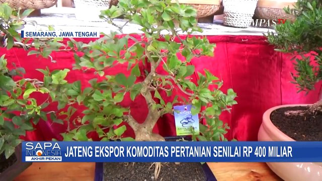Jawa Tengah Ekspor Komoditas Pertanian Senilai Rp 400 Miliar
