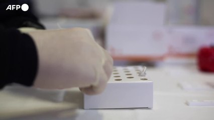 Nuovo protocollo per scuola, nessun test gratis ai no vax