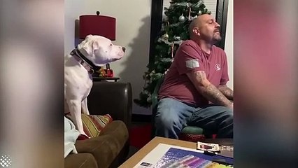 Ignoring my dog , funny reaction 