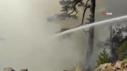 TOMA'ları gören ormancıların mutluluğu kameralara yansıdı