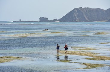 Vaksin Slank untuk Indonesia - Perkembangan Destinasi Wisata Prioritas dan Super Prioritas