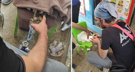 Selde mahsur kalan kedi 3 gün sonra kurtarıldı