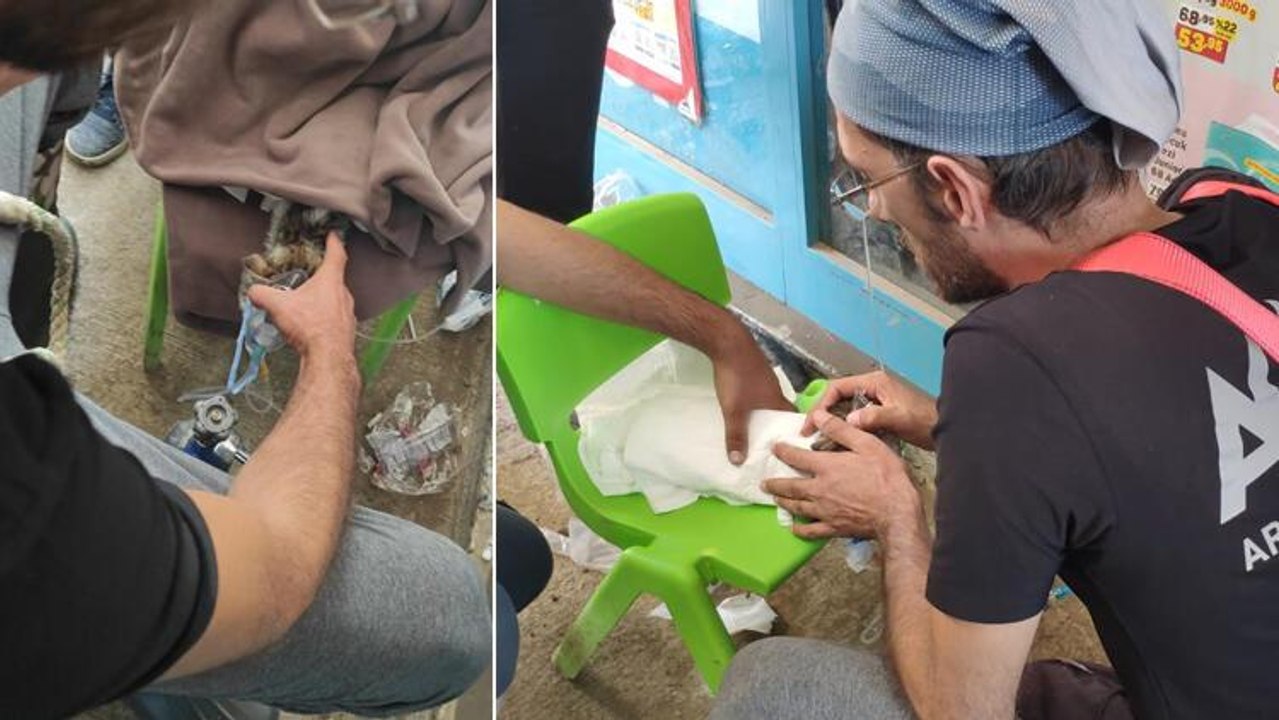 Selde mahsur kalan kedi 3 gün sonra kurtarıldı; "Yüzerek hayatta kalmış"