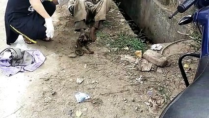 महिला ने दिखाई मानवता - देखें वीडियो