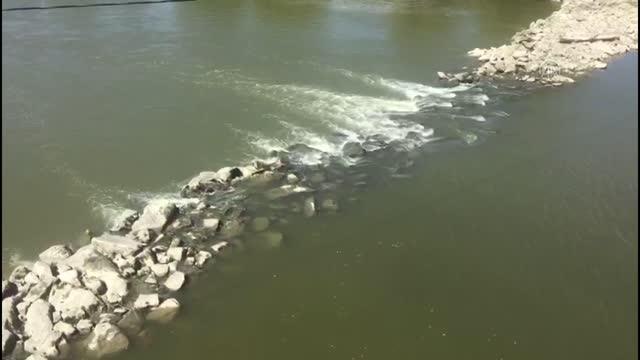 Sakarya Nehri'ne düşen genç için arama kurtarma çalışması başlatıldı