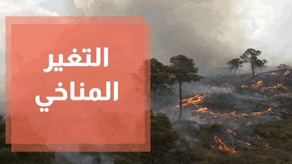 الغابات تحترق ... أهي مفتعلة أم نتاج التغير المناخي؟