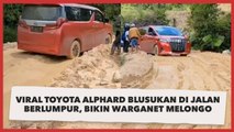 Viral Toyota Alphard Blusukan di Jalan Berlumpur, Bikin Warganet Melongo