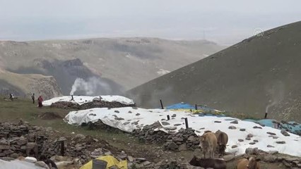 Kadınların elinden 3 bin rakımlı yaylalardan sofraya çeçil peyniri